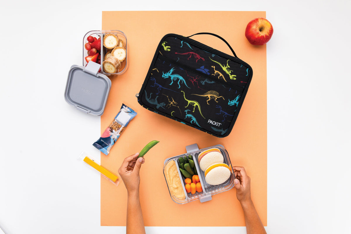 freezable-lunch-box-limited-edition-q1 2022_Lifestyle_Lunch-Box_Dino_Fossils_Hires.jpg