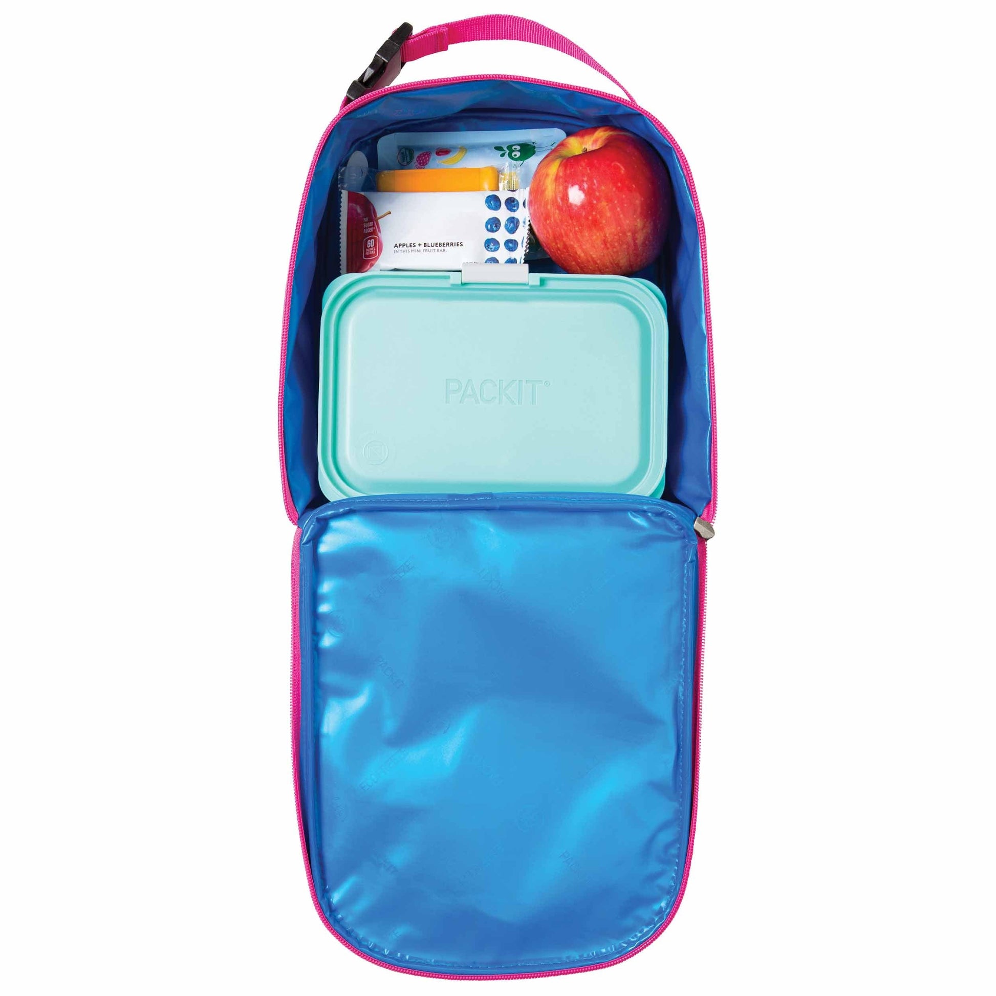 freezable-playtime-lunch-box-d4 freezable-playtime-lunch-box-popsicle-top-down.jpg